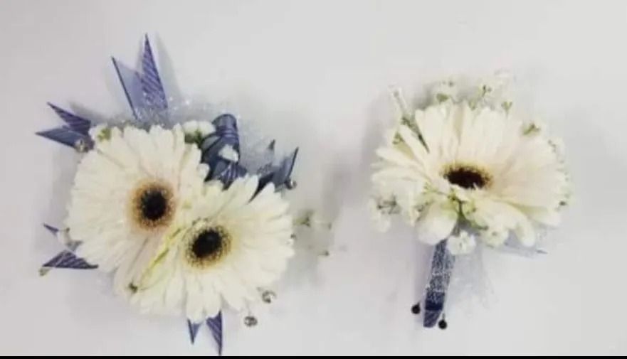 Two white gerbera daisy boutonnieres with blue accents on a white surface.