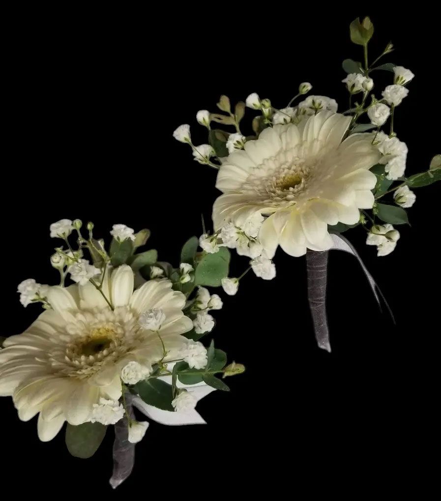Two white gerbera daisy boutonnieres with baby's breath and greenery, against a black background.