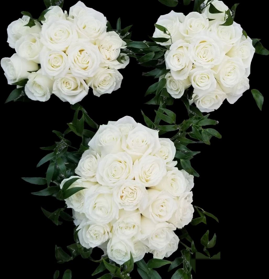 Three bouquets of white roses with green foliage against a black background.