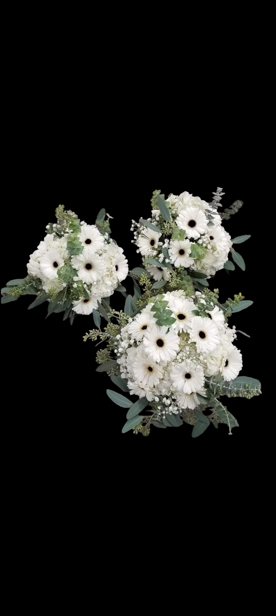 Three bouquets of white gerbera daisies and greenery against a black background.