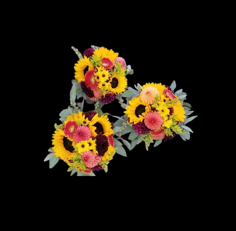 Three sunflower bouquets, with yellow sunflowers, pink dahlias, and green foliage, against a black background.