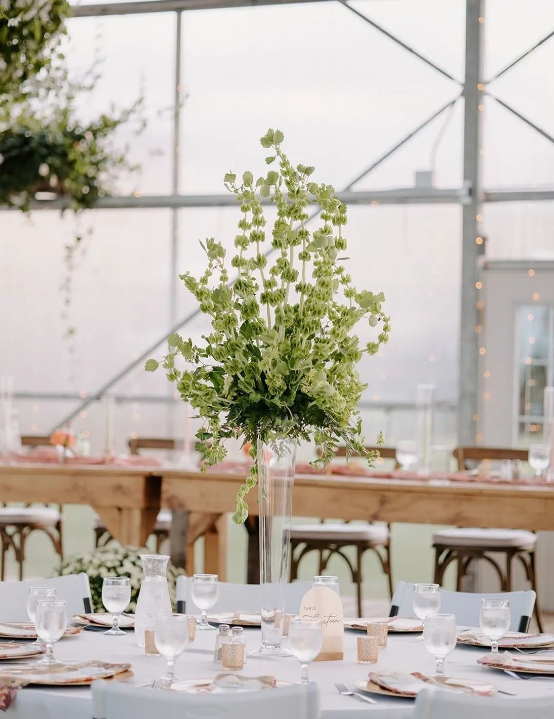 Table setting at an event with tall green floral arrangement.