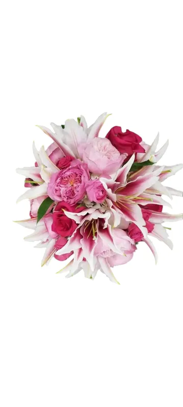 Bouquet of pink and white flowers on a white background.