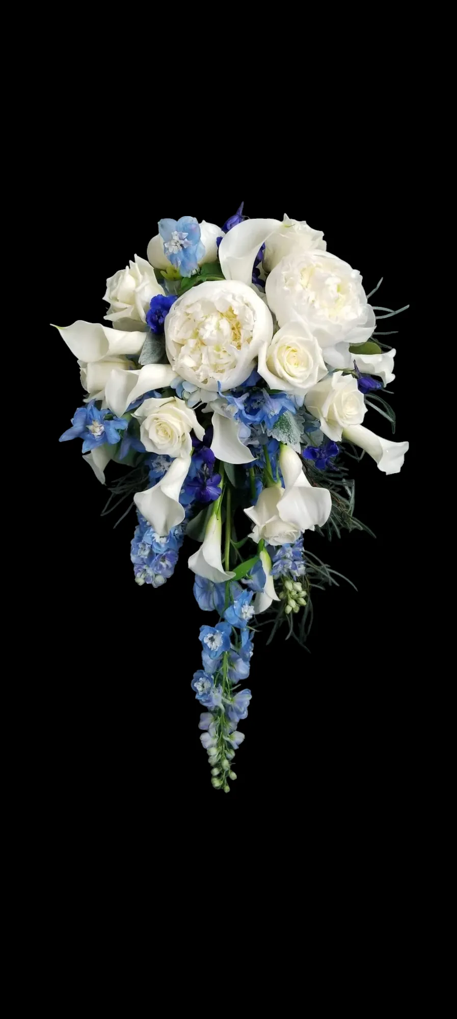A cascading white and blue bridal bouquet against a black backdrop.