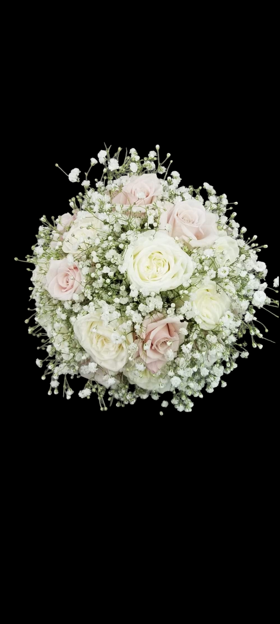 Bouquet of white and pink roses, surrounded by small white flowers, set against a black background.