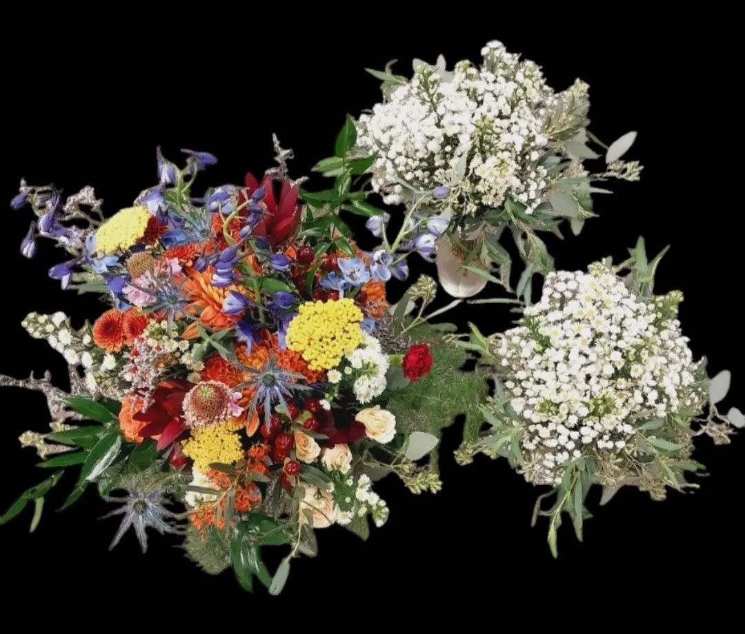 Bouquet of colorful flowers on a black background, featuring yellow, red, and blue blooms.