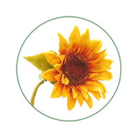 Our Flower Shoppe