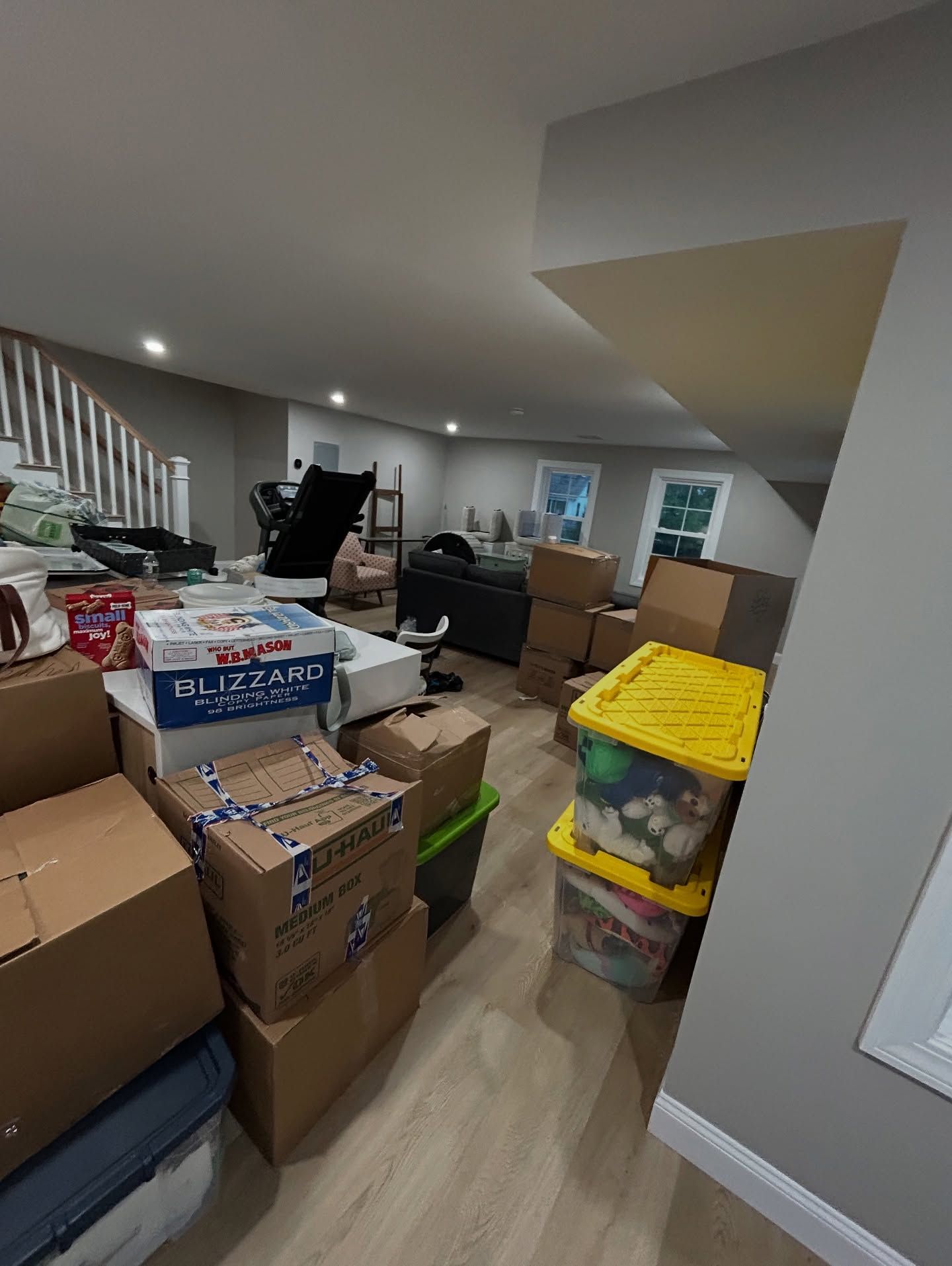 Basement storage area filled with cardboard boxes and plastic bins; gray walls and wood-look flooring.