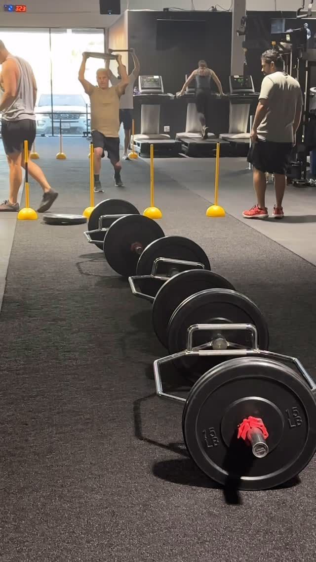 A row of barbells are lined up in a gym.