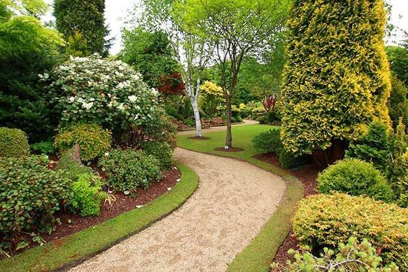 Winding gravel path through a lush green garden, surrounded by diverse plants and trees