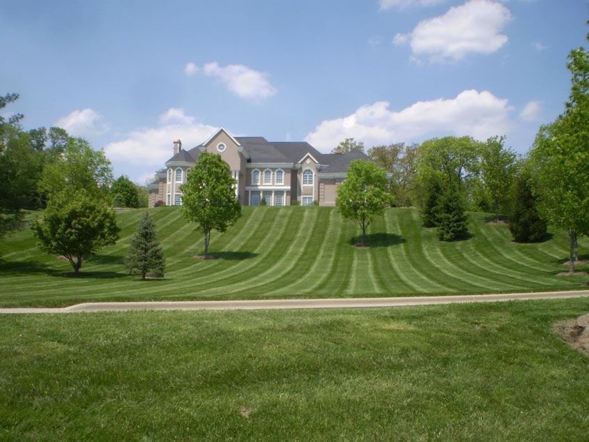 Large house on a hill with striped lawn, green trees, and a blue sky