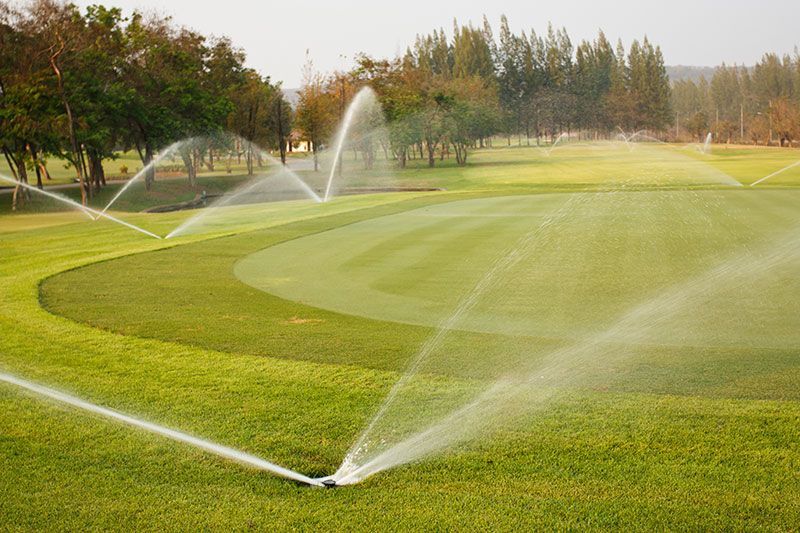 Sprinklers watering a green golf course, with trees in the background