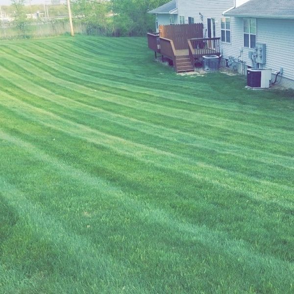 Lawn mowed in horizontal stripes in a backyard with a deck and siding. Green grass and shadows.