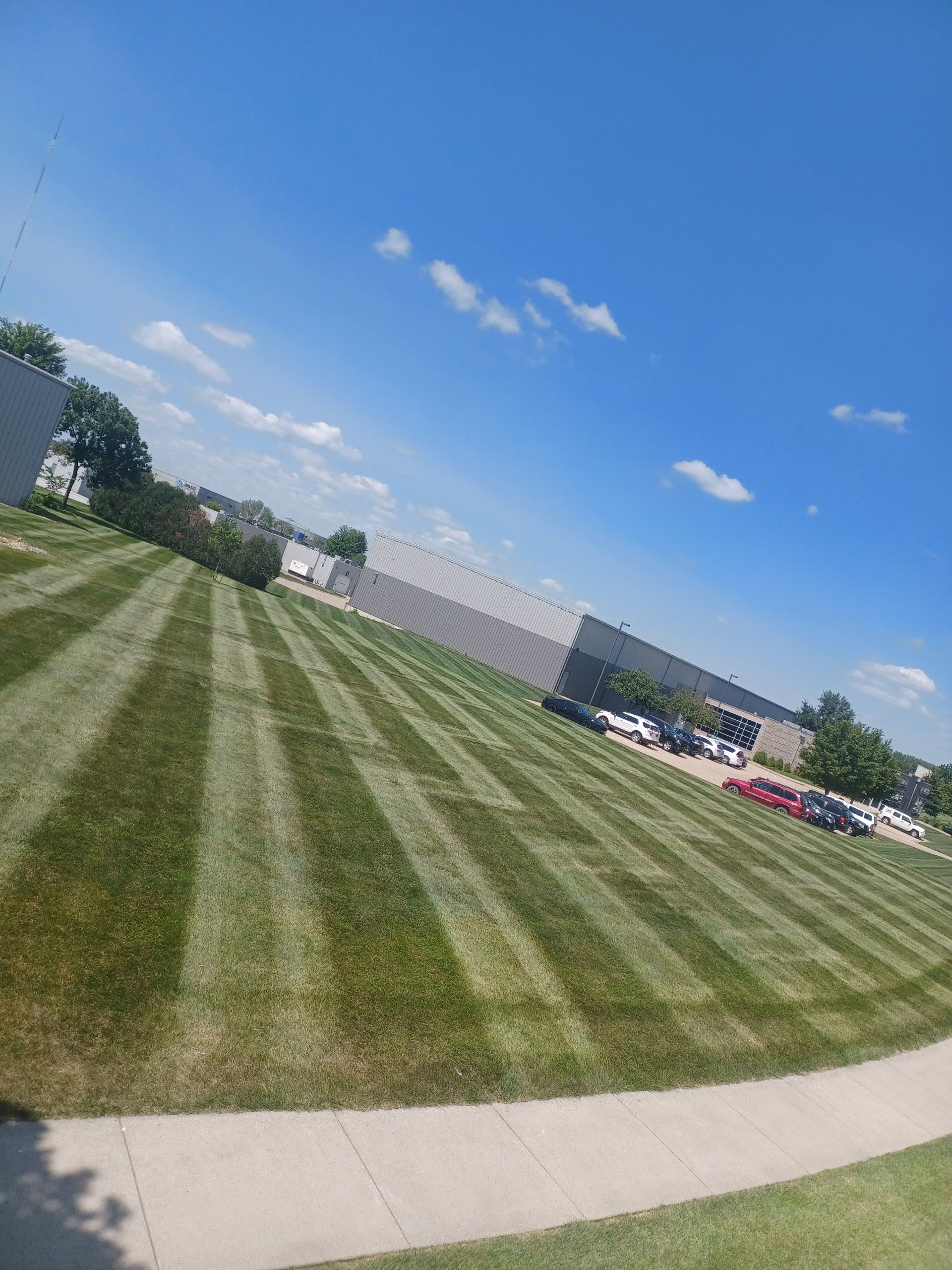 Lawn with striped mowing patterns, building in the background, bright blue sky with some clouds.