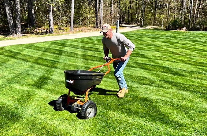 Man pushing a spreader on a green lawn, spreading fertilizer. Bright sunny day in a yard.