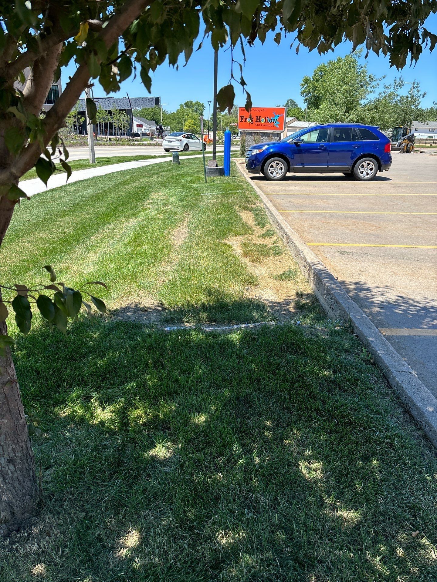 Blue SUV parked near a grassy area with a tree on a sunny day.
