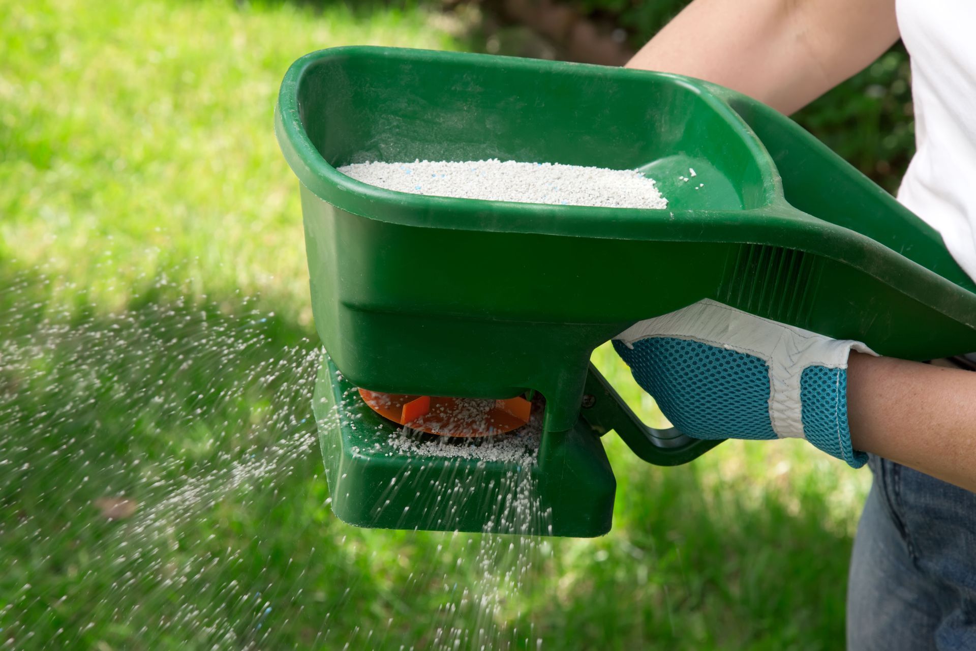 Person wearing glove spreading granular fertilizer from a green spreader onto a grassy lawn