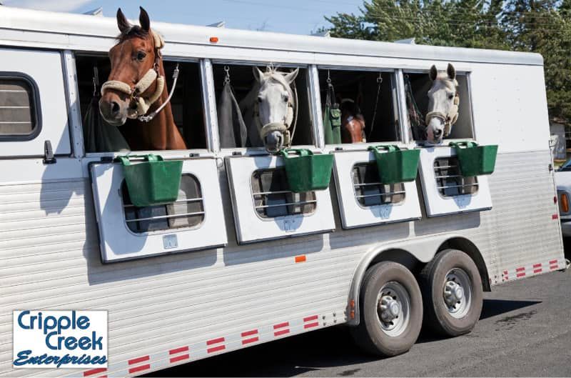 A horse trailer from cripple creek enterprises