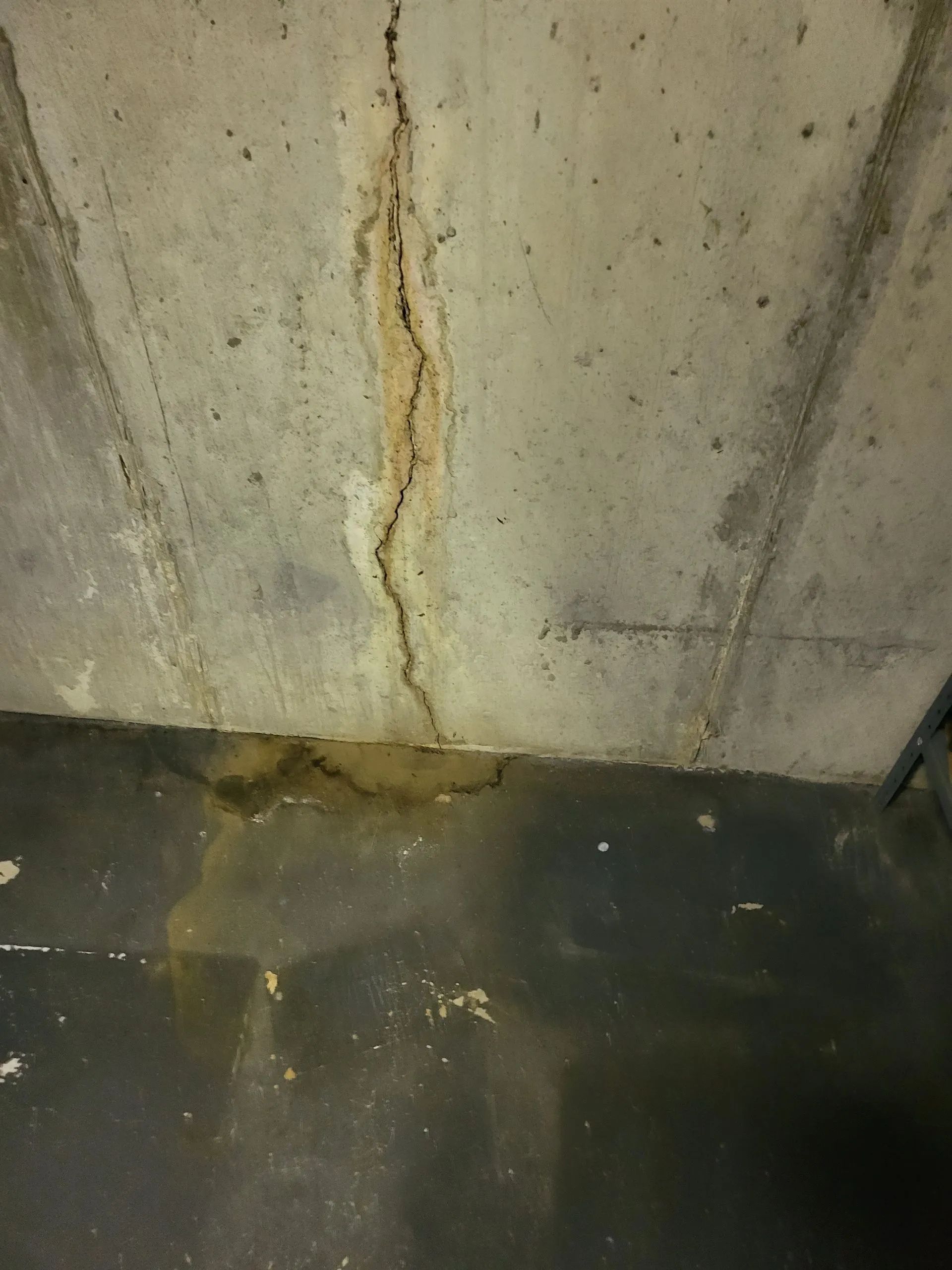 Concrete basement wall with a vertical crack and water stains; dark, wet floor.