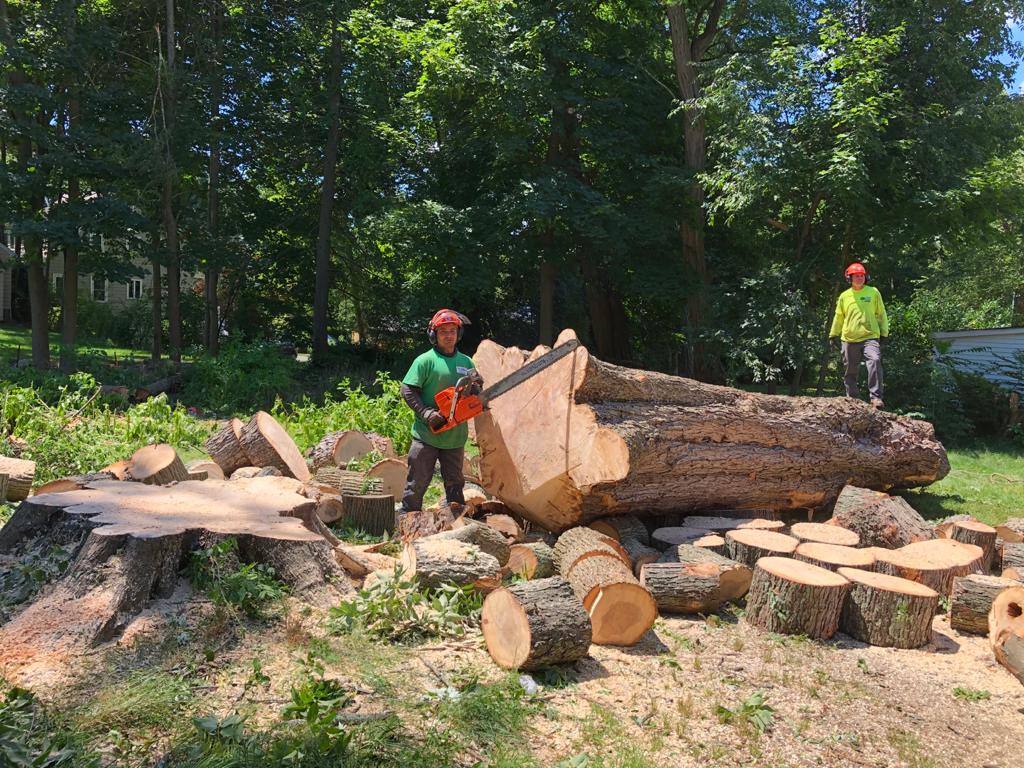 24-Hour Emergency Service