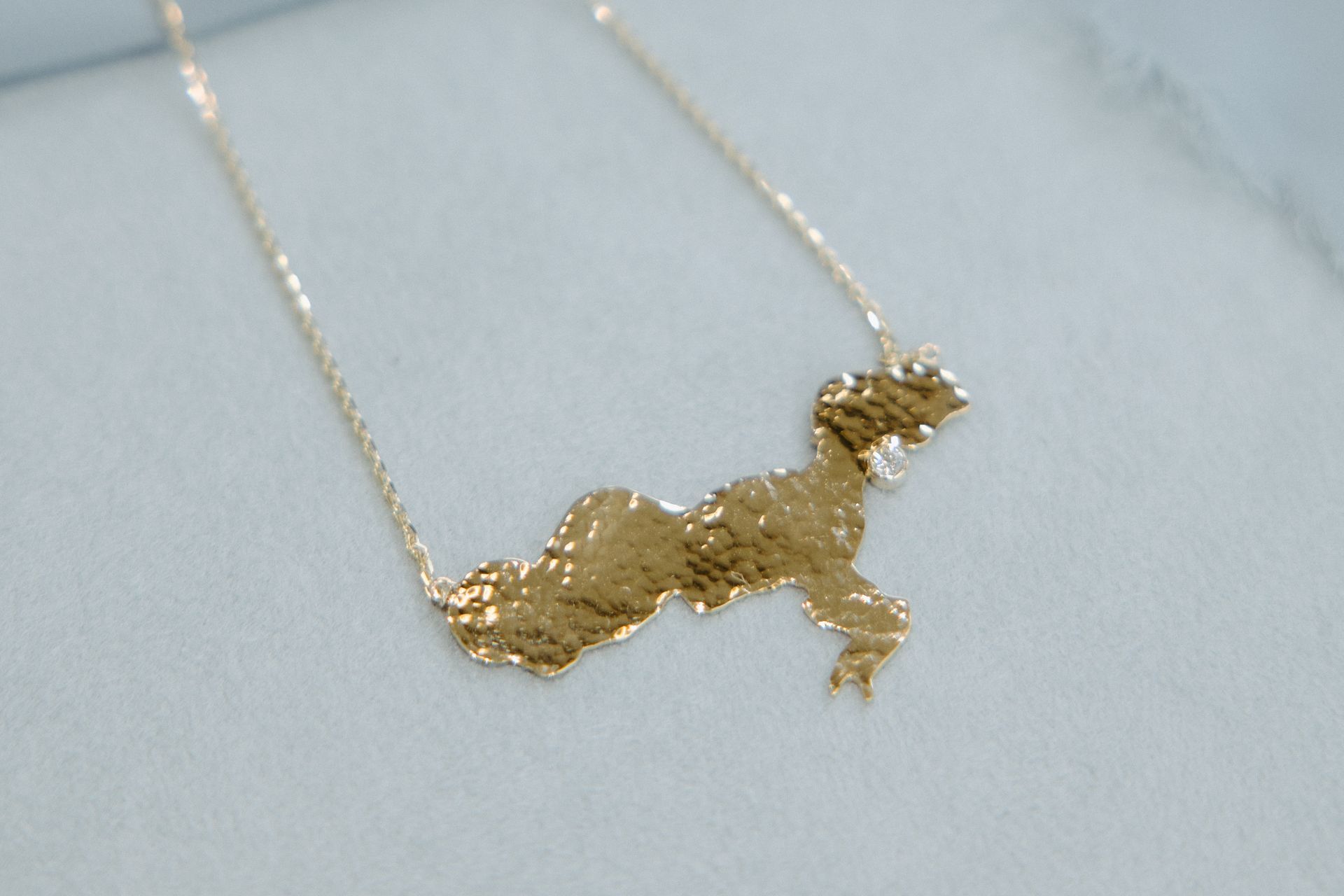 Gold dog-shaped pendant necklace on a light blue background.