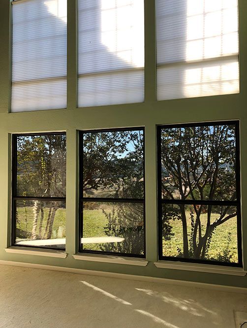 A room with a lot of windows and a tree in the background