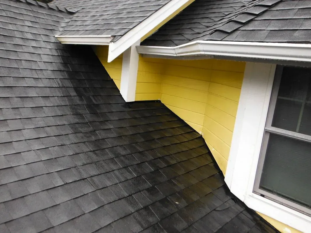 Roofing Services