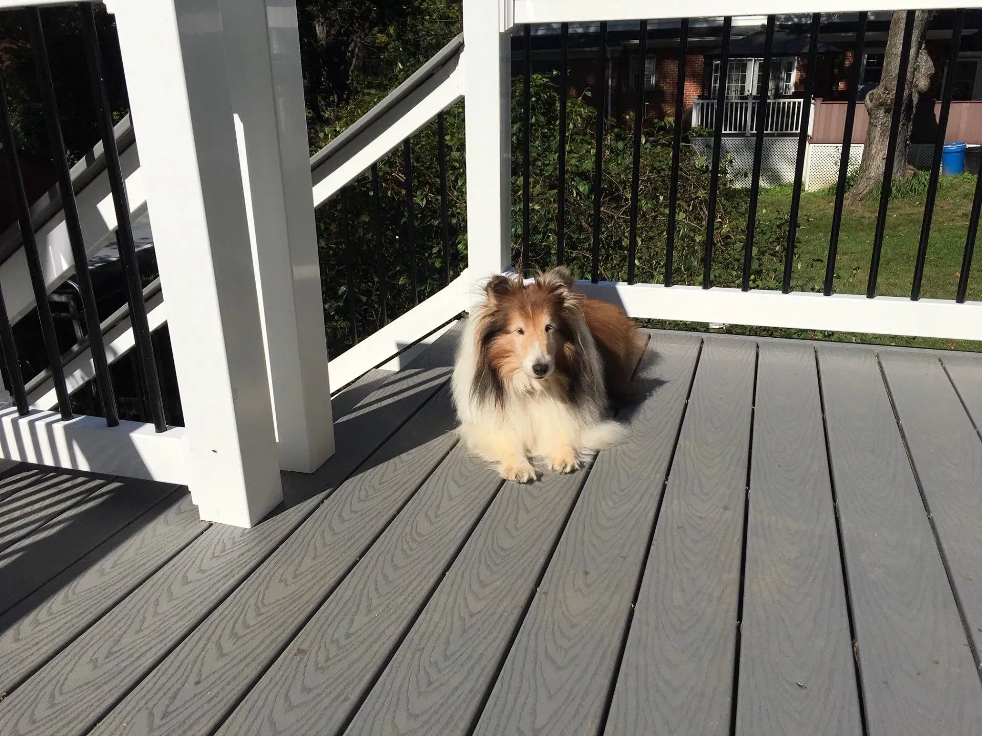 Deck Services
