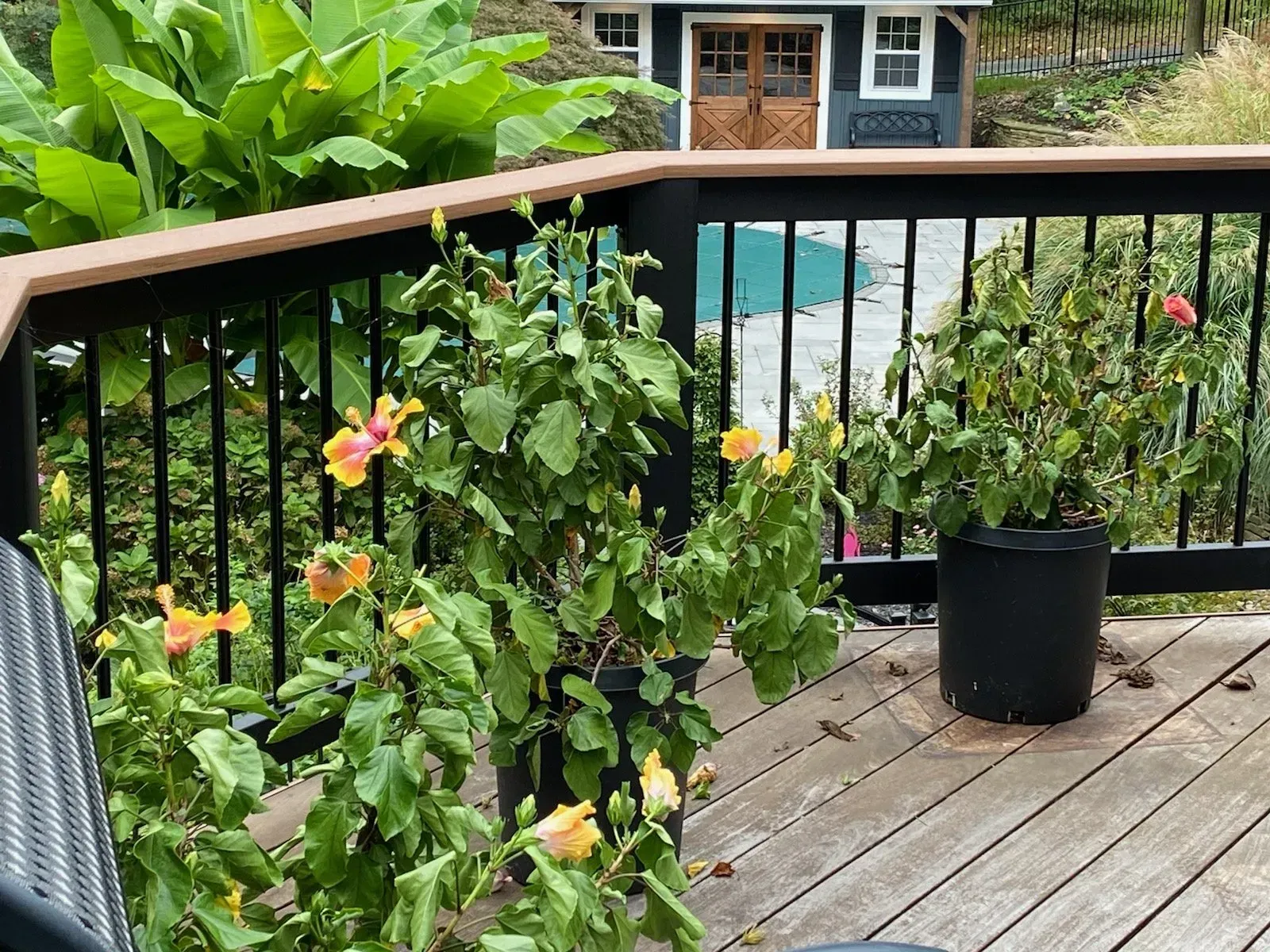 Deck Services
