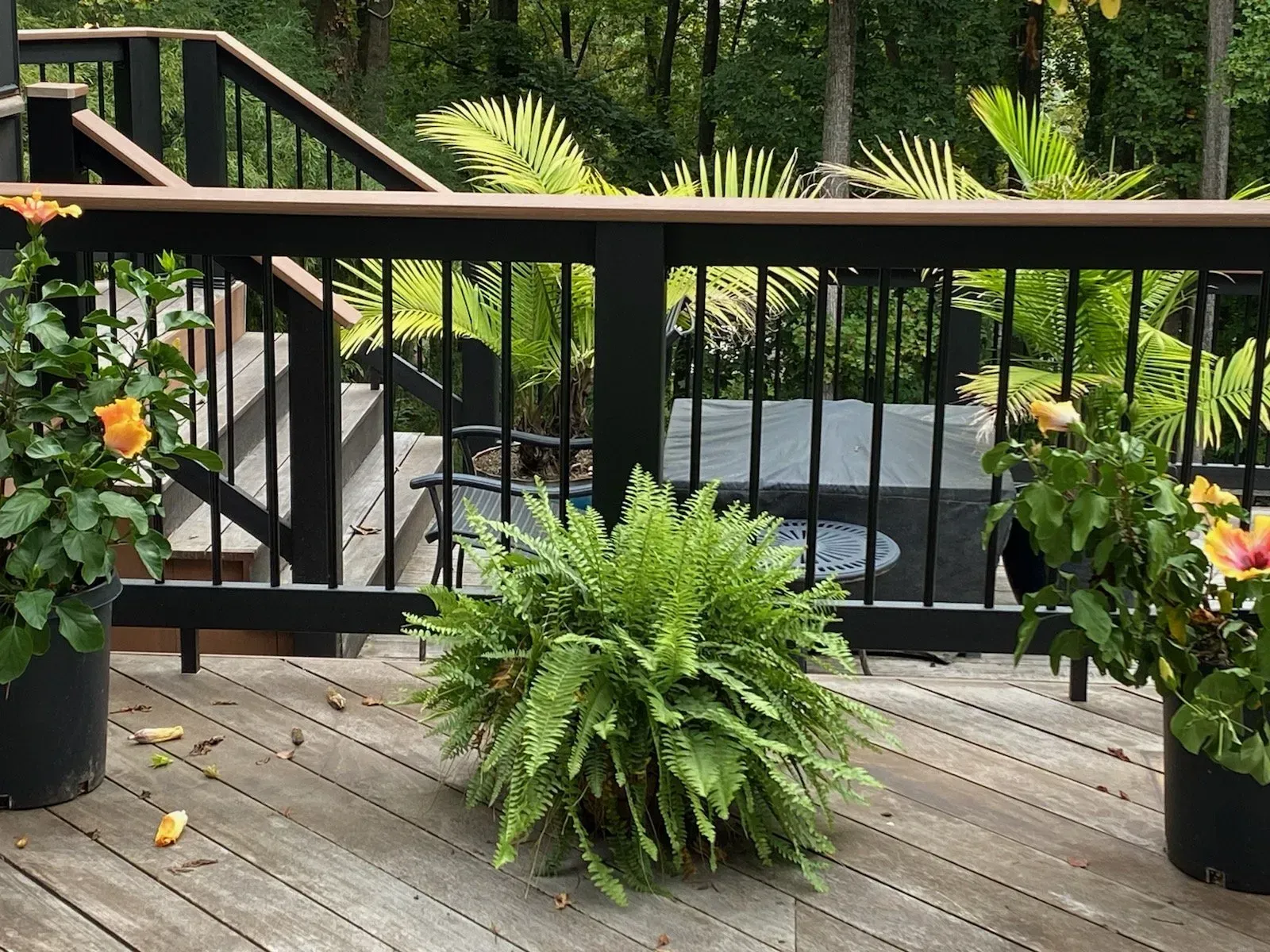 Deck Services