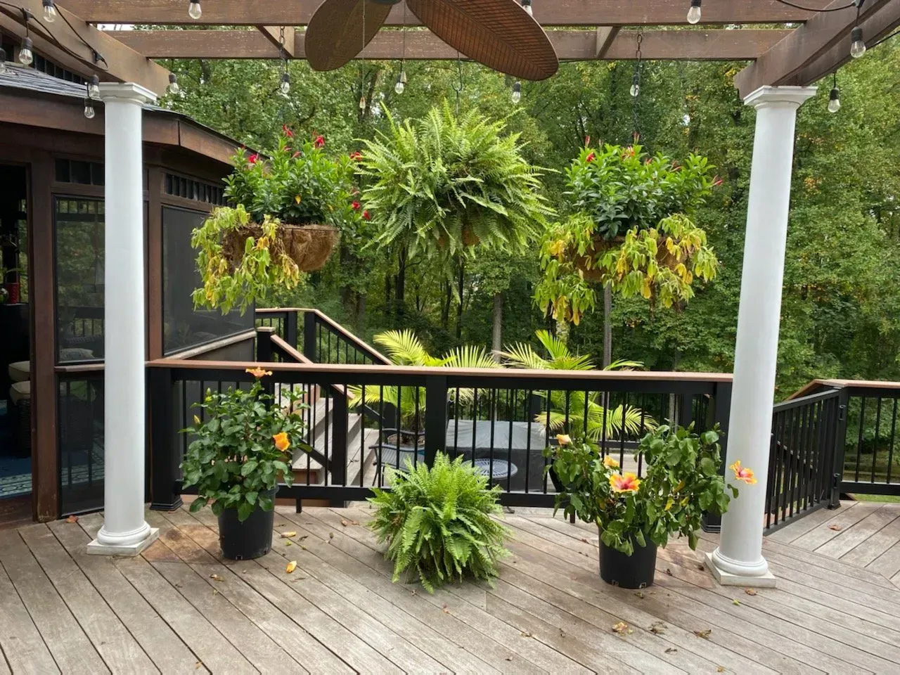 Deck Services