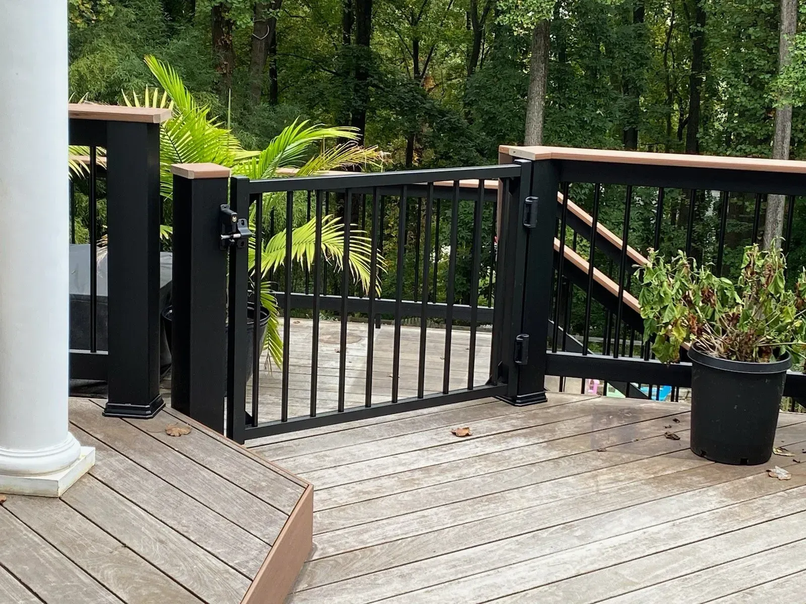 Deck Services