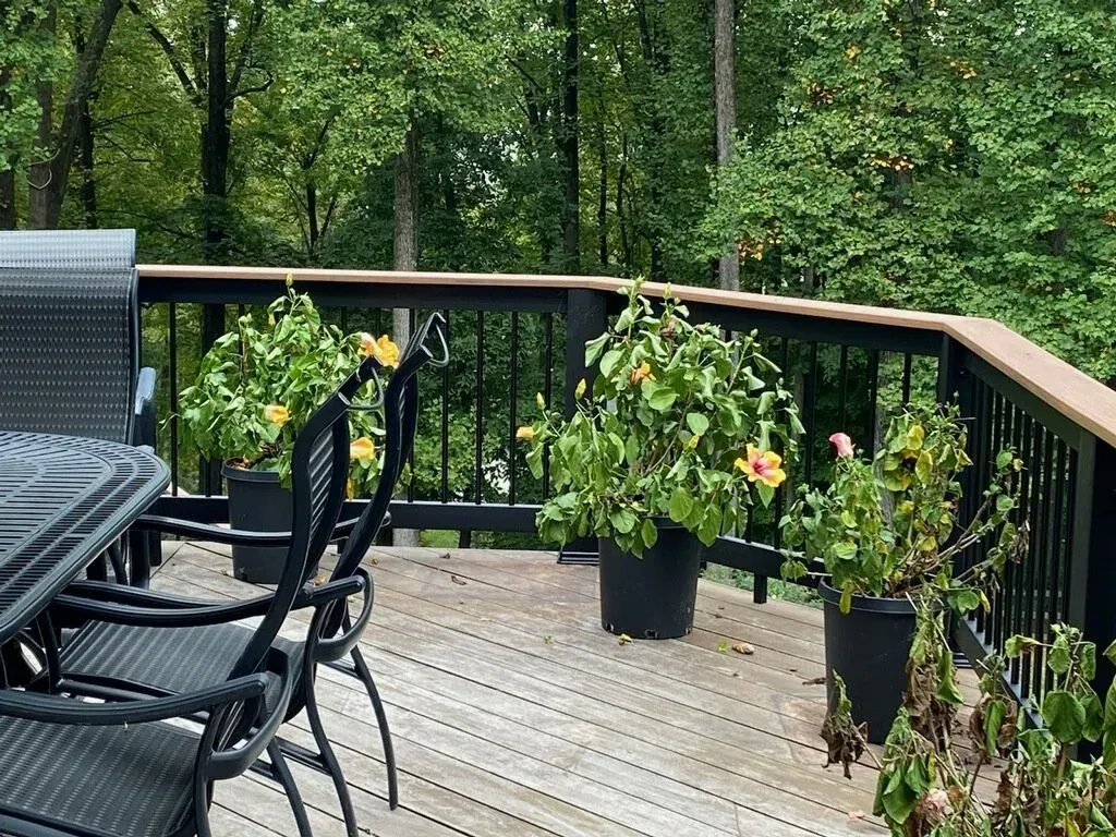 Deck Services