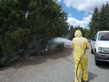 Tree Spraying Experts
