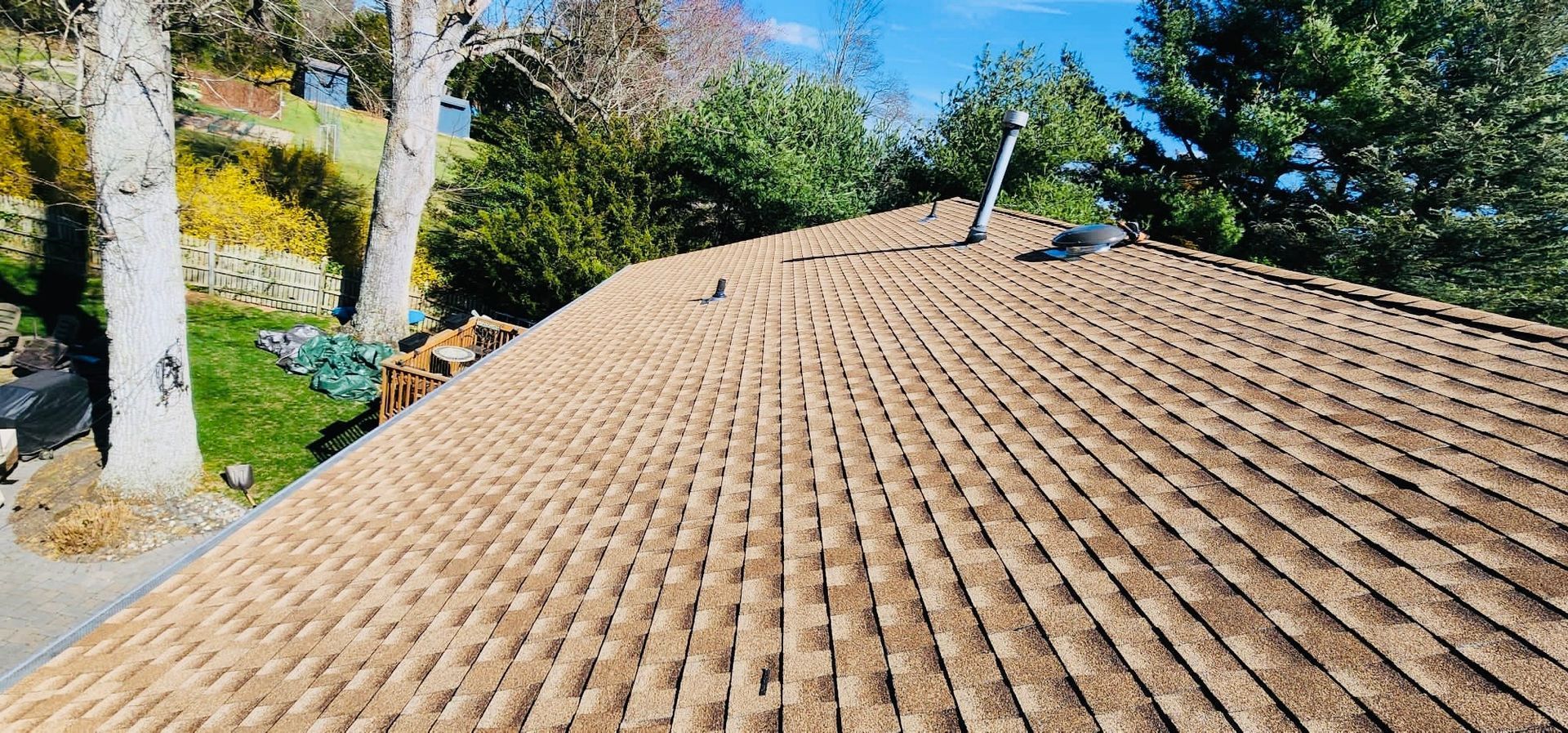 A close up of a roof with trees in the background.