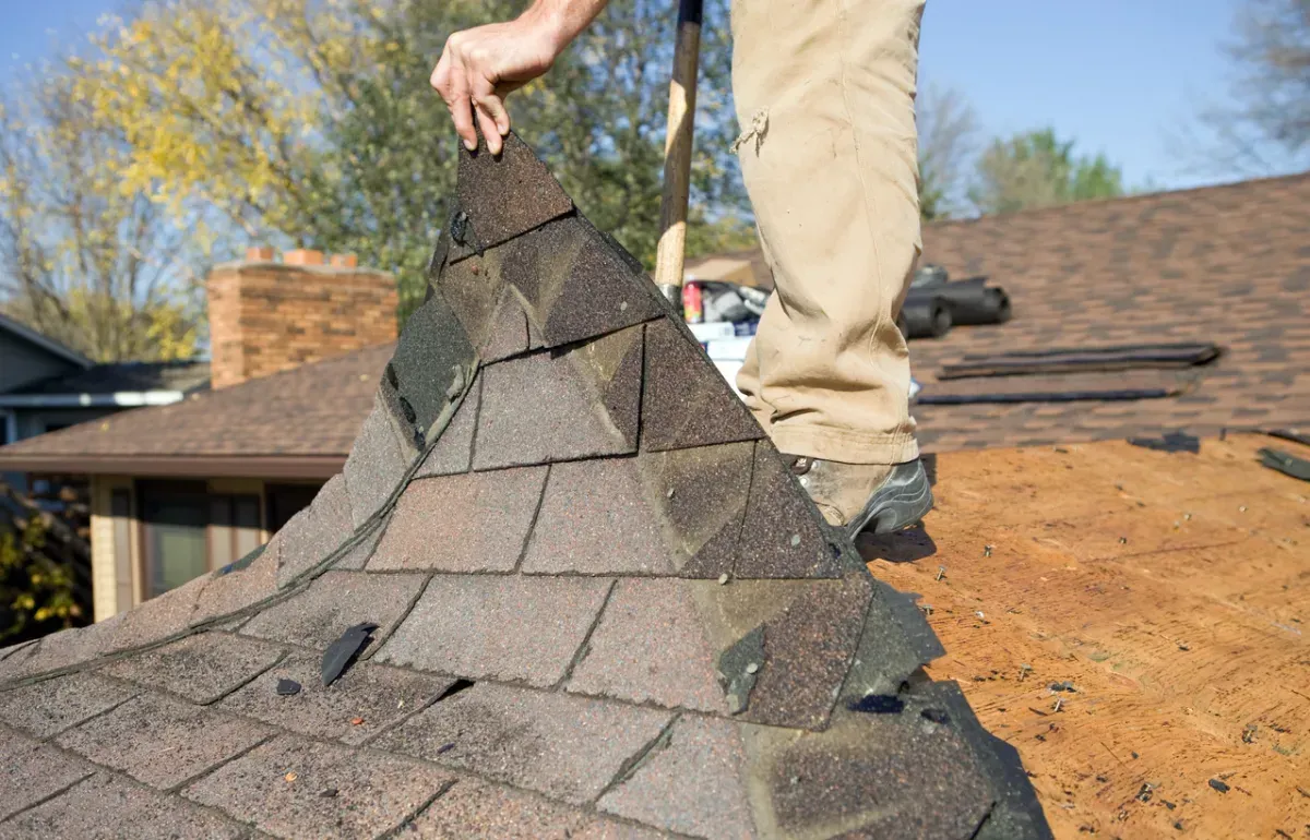 A man is standing on top of a roof holding a piece of shingles.