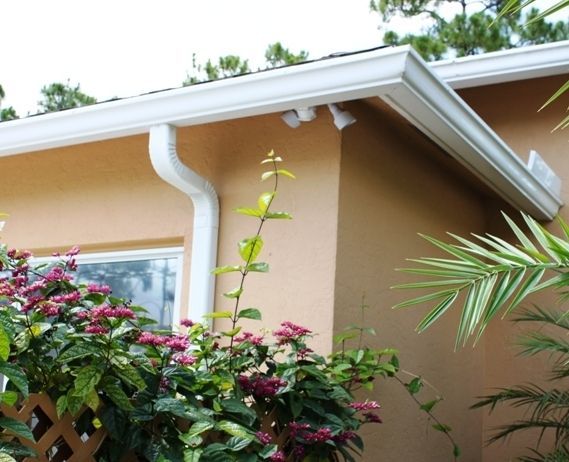 A house with a white gutter and flowers in front of it