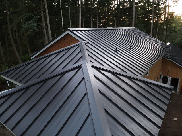 Metal roof on a house, angled view. Dark gray panels, surrounded by trees.