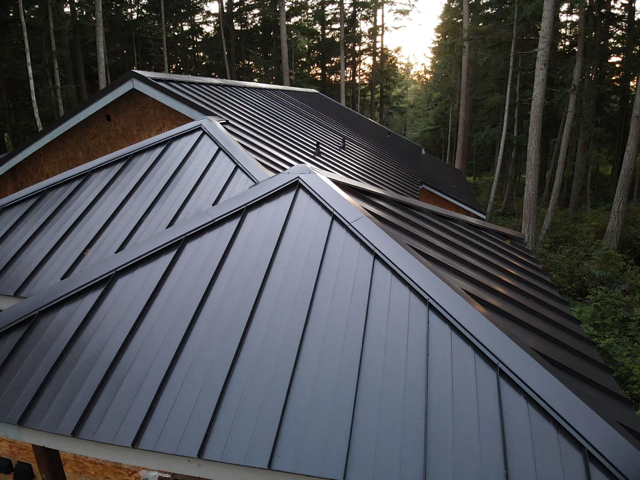Dark gray metal roof on a house in a forest, with angled ridges and tree background.