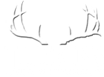 Judkins Custom Taxidermy - Logo