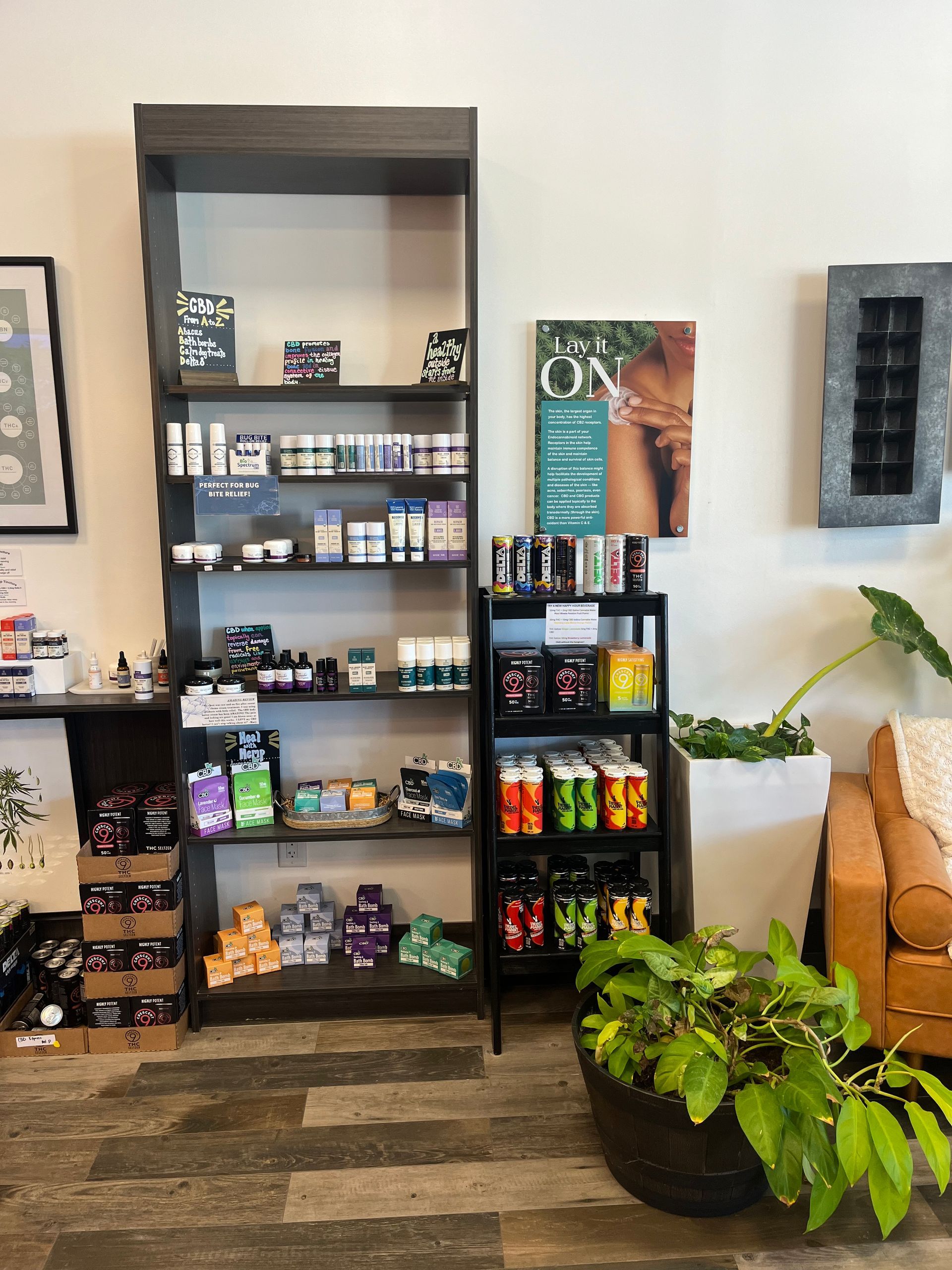 A living room with a couch , shelves , and a potted plant.
