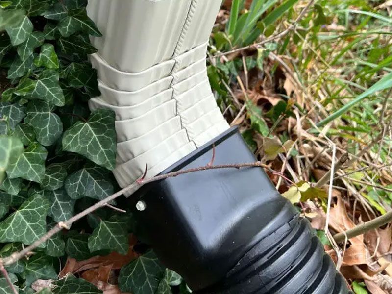 Close-up of a white drainpipe base with black boot, wrapped in a cable, beside ivy and fallen leaves