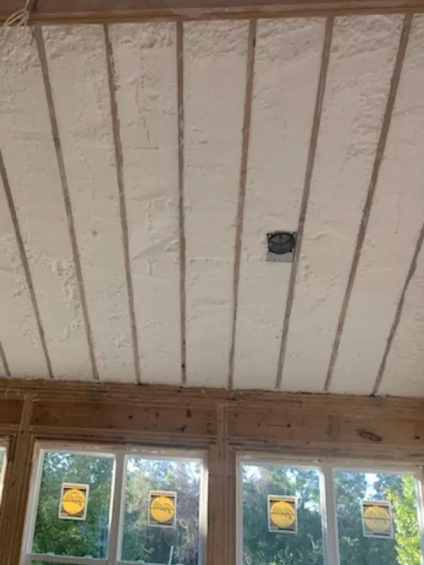 White paneled ceiling above windows, with a small black ceiling fixture and wood trim.