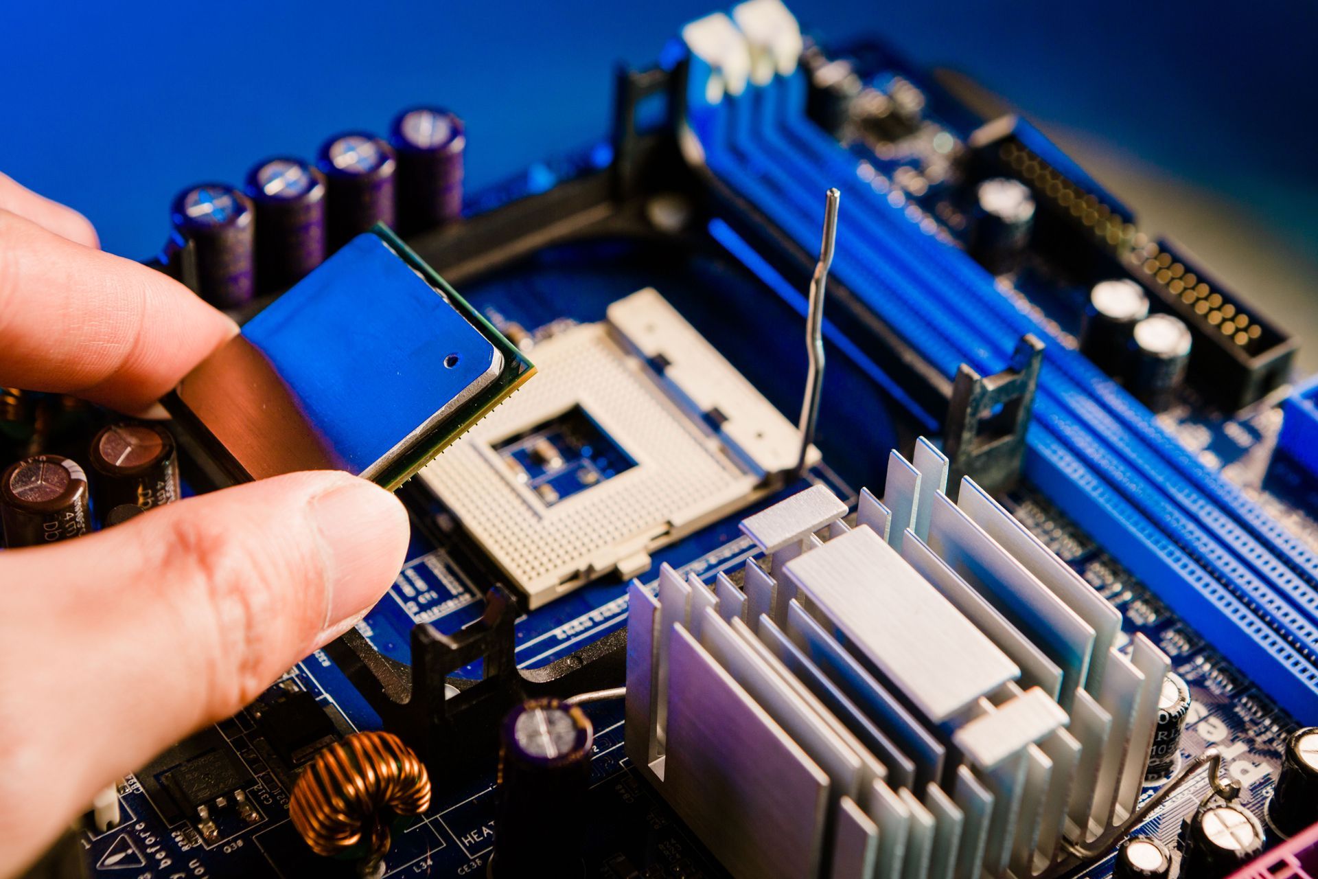 A hand holding a computer processor over the open CPU socket of a blue motherboard.