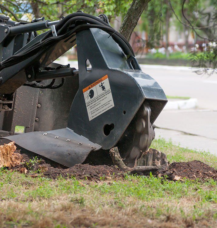 Stump grinding