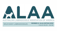 Logo for the Australian Labradoodle Association of America, featuring a teal circle with text, the letters 
