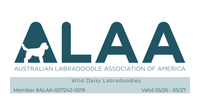 Logo for the Australian Labradoodle Association of America, featuring a teal circle with text, the letters