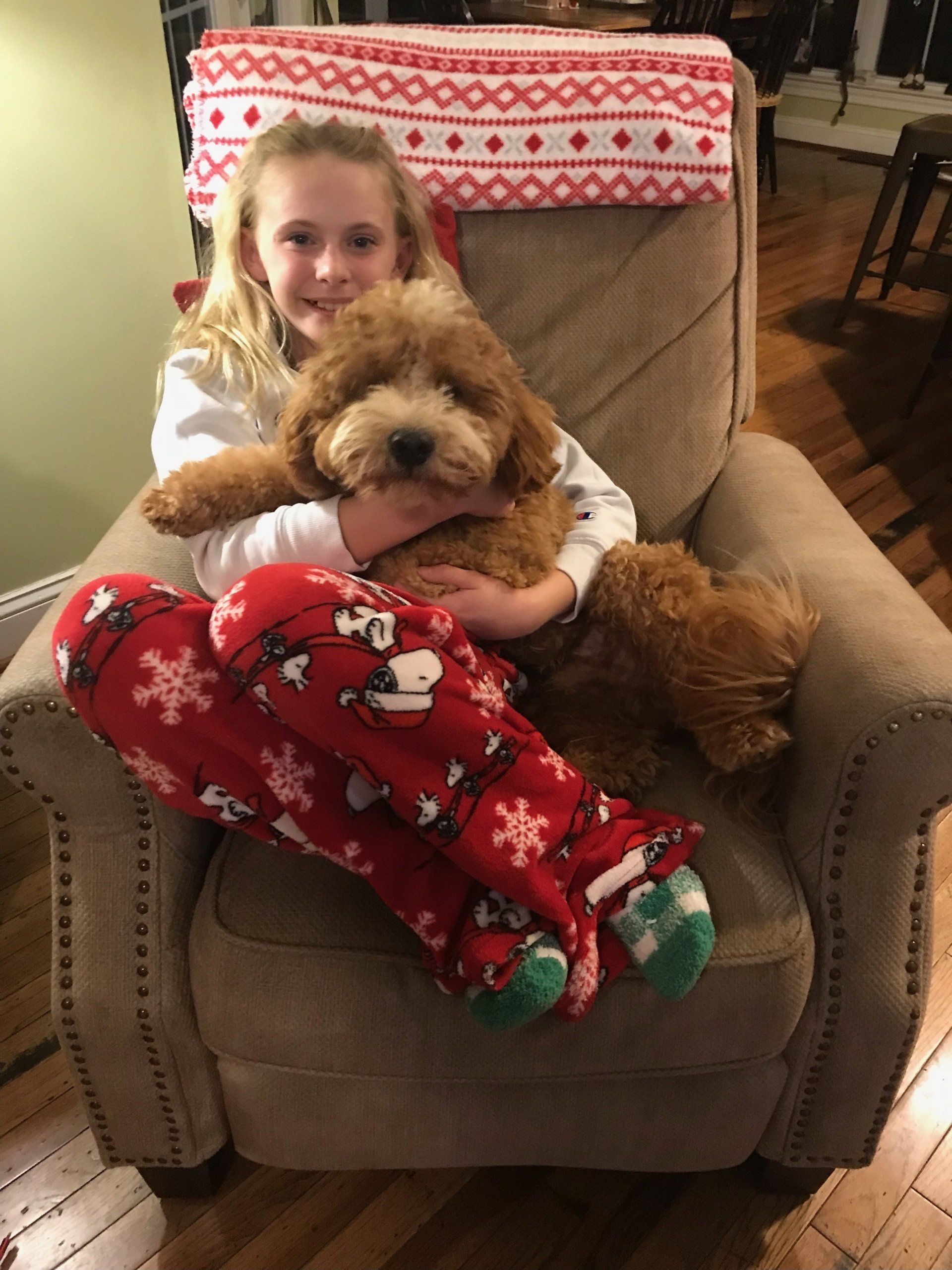 A young girl in red snowflake pajamas hugs a fluffy brown dog in a living room setting.