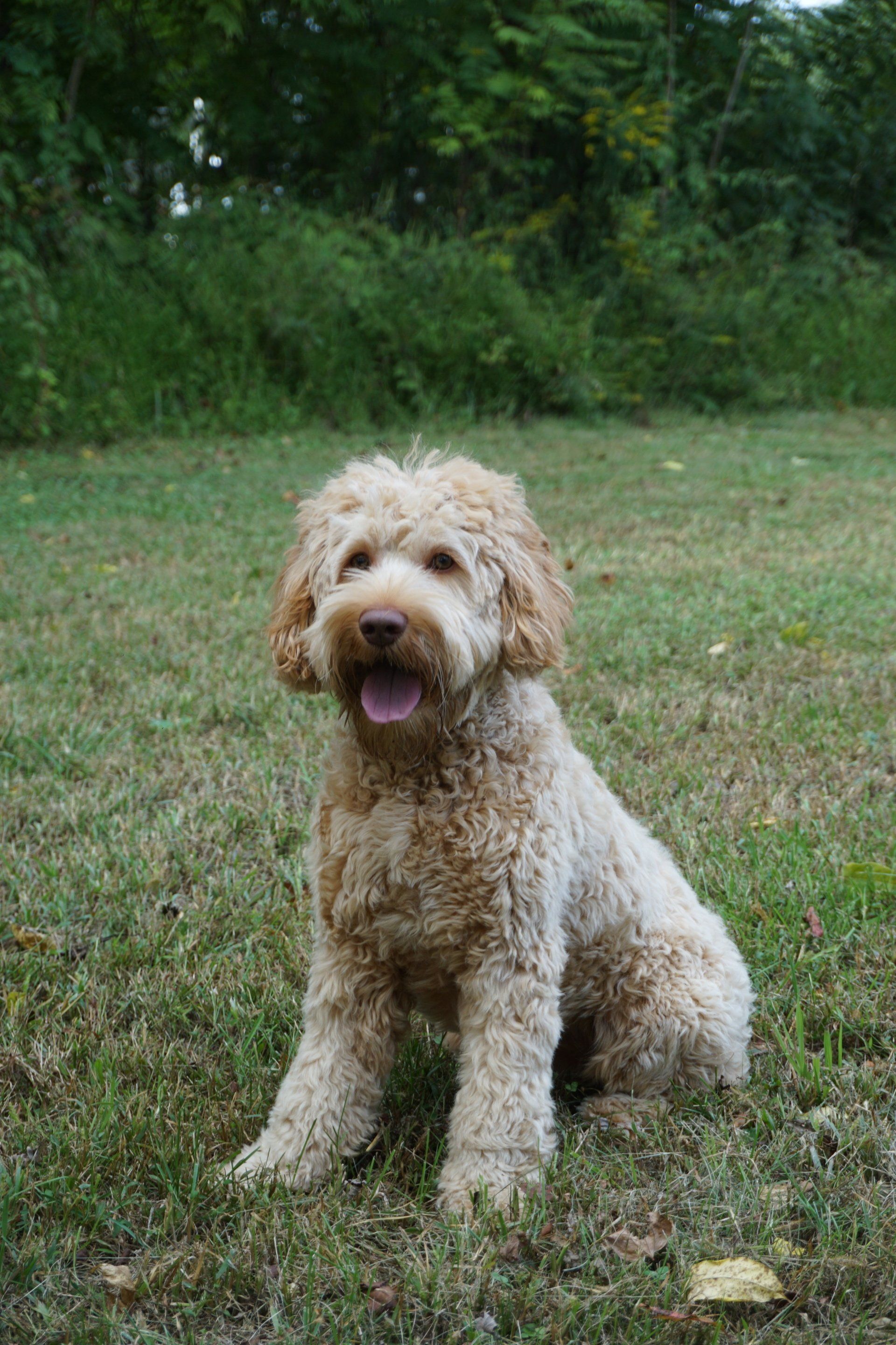 retired jon snow sitting