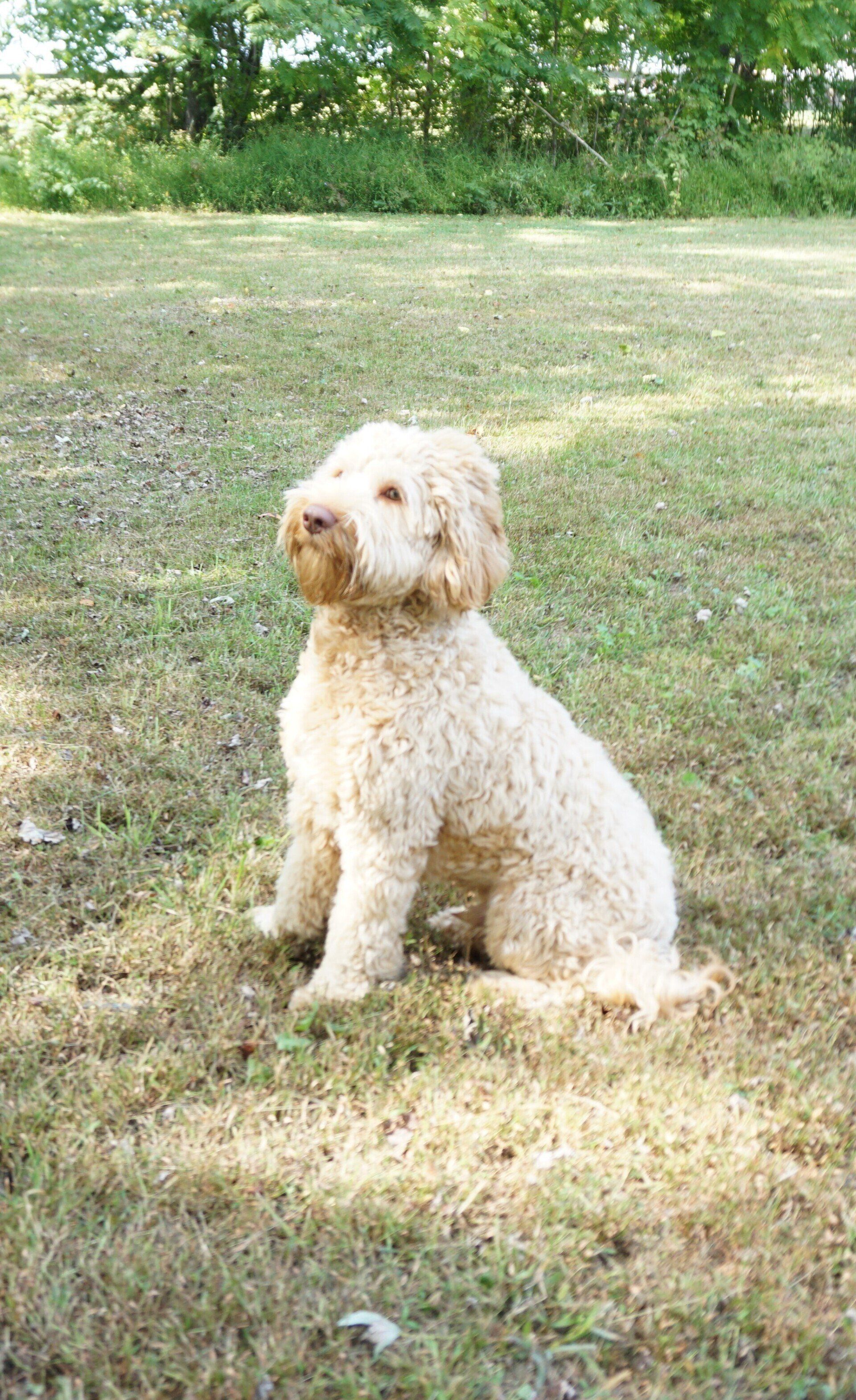 retired jon snow side